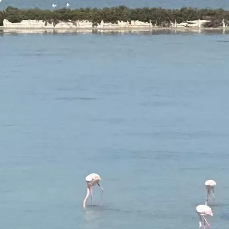 Poetto - 5 Min Walk - Wifi & Ac